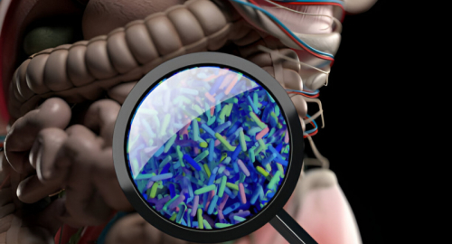 Interventi sul Microbiota Intestinale per il Metabolismo del Glucosio e dei Lipidi nelle Malattie Metaboliche